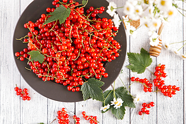 Red berries and leaves on table with flowers