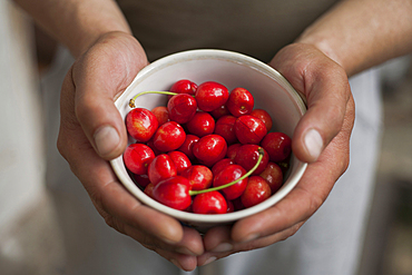 Hands of woman holding a bowl of cherries