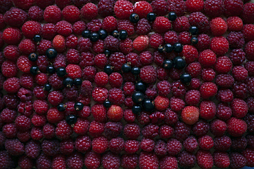 Raspberries and blueberries