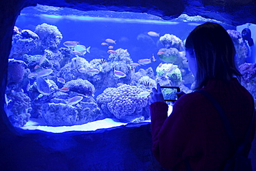 Caucasian woman photographing fish in aquarium