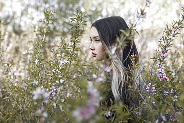 Asian teenage girl standing in flowers