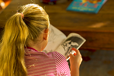 Rear view of Caucasian girl reading book