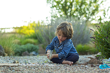 Caucasian boy sitting on ground smashing rocks with hammer