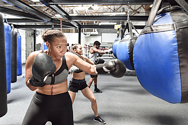 Boxers punching bags in gymnasium