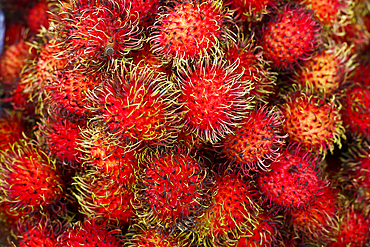 Pile of red spiny fruit