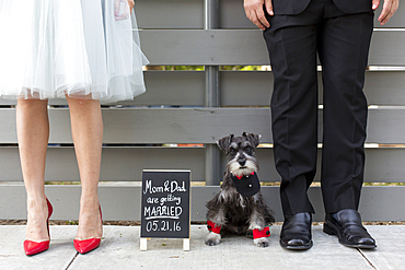 Couple with dog near wedding announcement