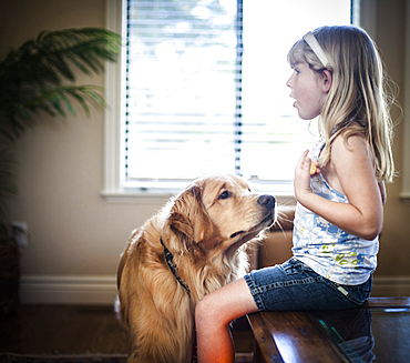 Curious dog sniffing food of Caucasian girl