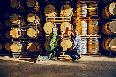 Caucasian men examining barrel in distillery