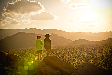 Boys standing on rock admiring desert landscape