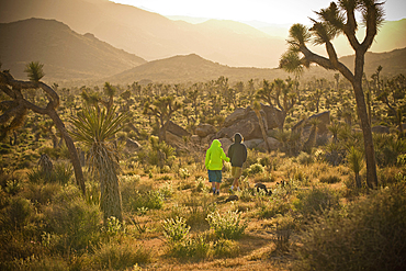 Distant boys walking in desert