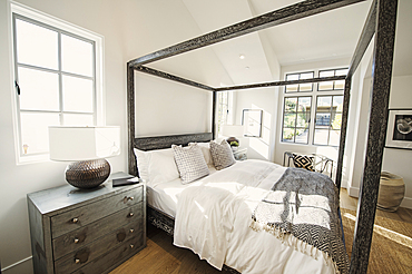 Canopy bed in modern bedroom