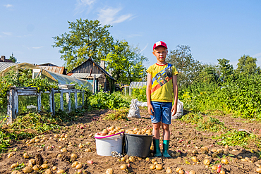 Caucasian boy standing on farm with buckets of potatoes