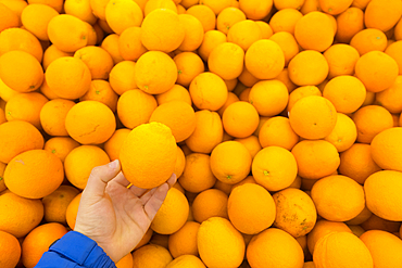 Hand holding oranges