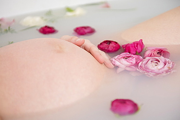 Caucasian expectant mother in milk bath with flowers