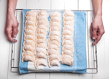 Hands holding rows of pierogies on towel