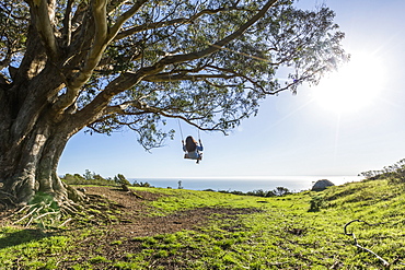 Caucasian woman on tree swing near ocean