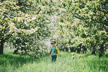 Caucasian boy wearing sunglasses and backpack in grass