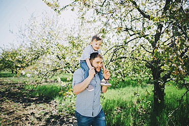 Caucasian father and son walking near tree