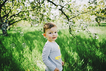 Bubbles floating near Caucasian boy in field near tree