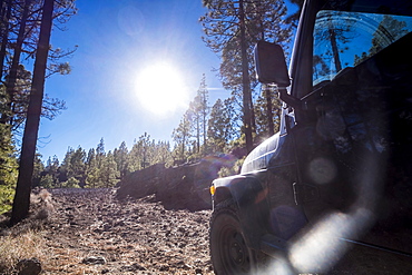 Car driving on dirt road on sunny day