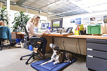 Caucasian woman in office with dog