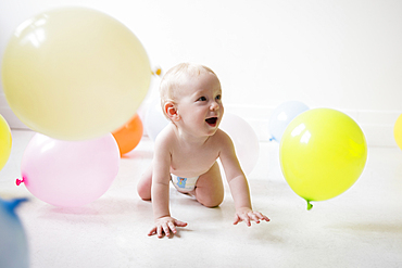 Caucasian baby boy crawling on floor watching balloons