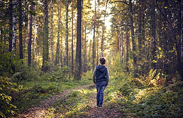 Caucasian boy wandering in forest