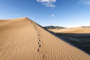 Footprints in sand dune