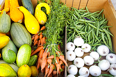 Fresh vegetables at market