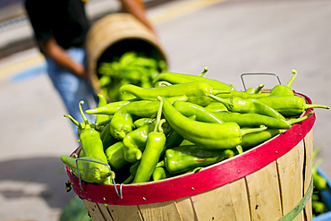 Man pouring green peppers into basket