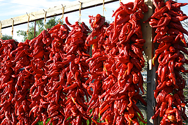 Dried red peppers hanging outdoors