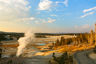 Steam rising from geyser in Yellowstone National Park, Wyoming, United States