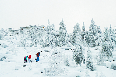 Caucasian friends hiking in snowy forest