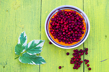 Plate of red berries and leaf on wooden table