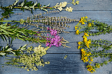 Multicolor flowers laying on wooden table