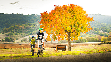 Mixed Race boys bike riding in park