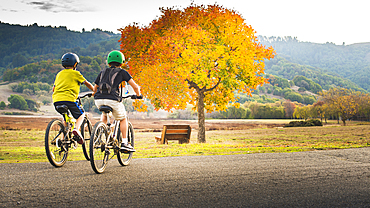 Mixed Race boys bike riding in park