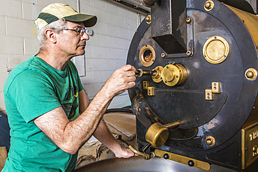 Caucasian worker checking coffee in roaster