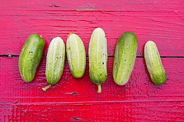 Close up of row of green cucumbers on red wooden table