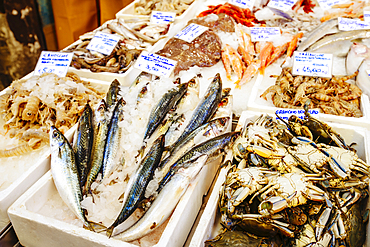 Seafood on ice in market