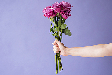 Arm of Caucasian woman holding bouquet of roses