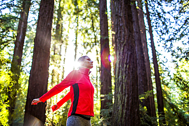 Woman stretching arms in sunny forest