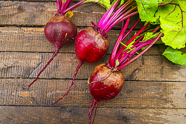 Fresh beets on wooden table