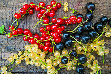 Fresh berries on wooden table