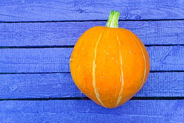 Pumpkin on purple wooden table