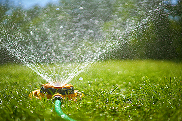 Surface level view of backyard sprinkler spraying