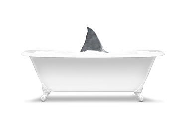 Fin of shark swimming in bathtub