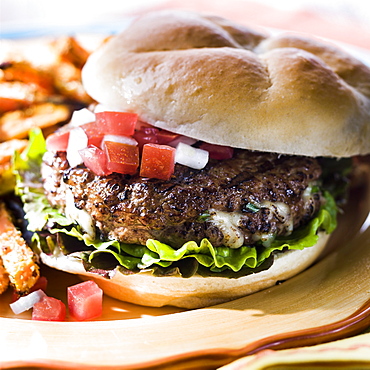 Stuffed mozzarella cheeseburger