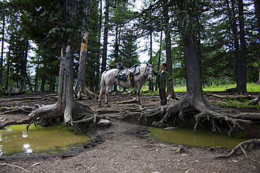 Caucasian girl petting horse in forest near puddles