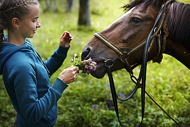 Caucasian girl holding flowers for horse to smell